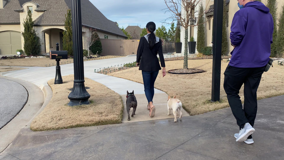 Off Leash Walking With E-Collar